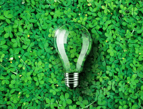 Sustainability Sells: Green SEO Tactics for Eco-Conscious Essex Brands